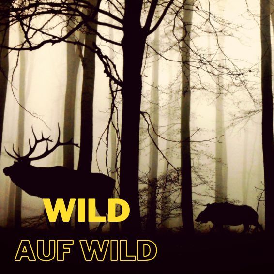 Wild auf WILD 06.11.2026